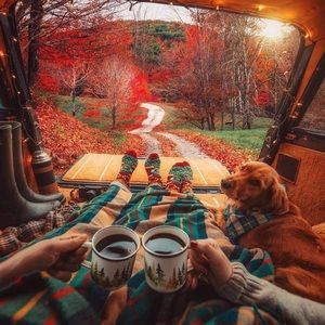 Meet your Posher, Iris